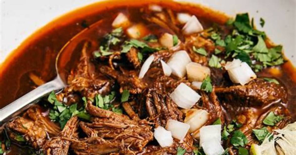 Best Birria De Res