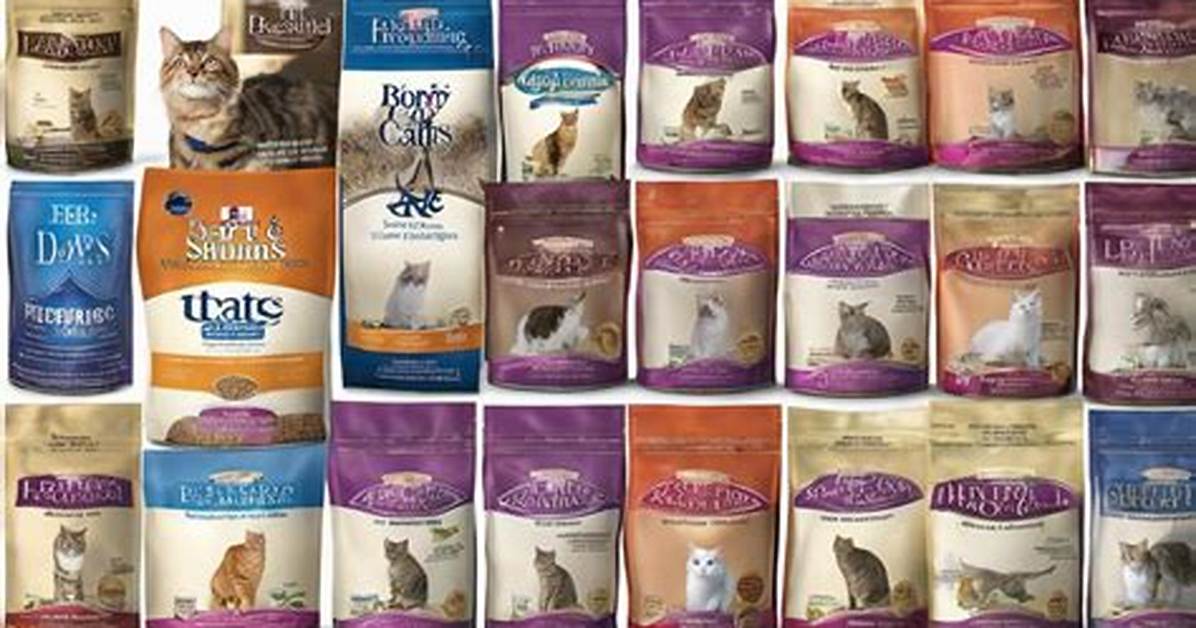 Best Dry Cat Foods: a Comprehensive Guide for Pet Owners