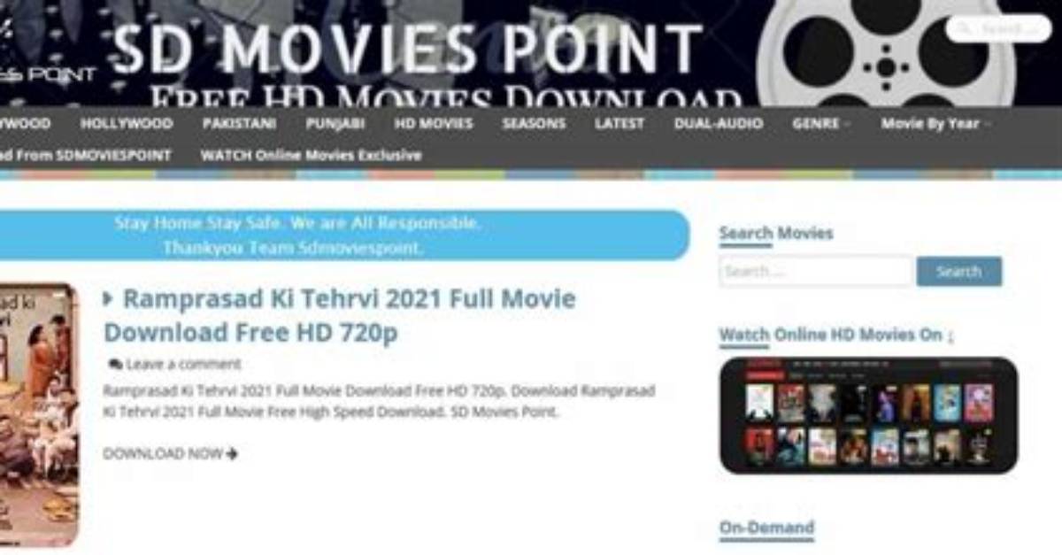 Best Sdmoviespoint. in 2023 Movies and Web Series: a Complete Guide