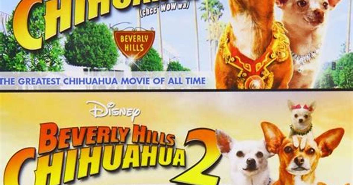 Beverly Chihuahua 4: the Ultimate Guide to the Latest Pawsome Adventure