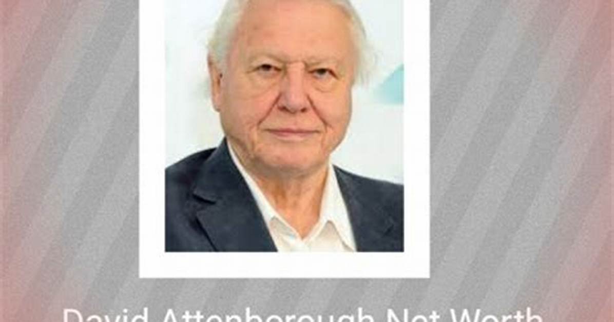 Biff Wiff Net Worth, Income, Salary, Earnings, Biography