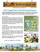 Big Dog Ranch: a Comprehensive Guide to the Largest No-Kill Dog Shelter in the U. S.