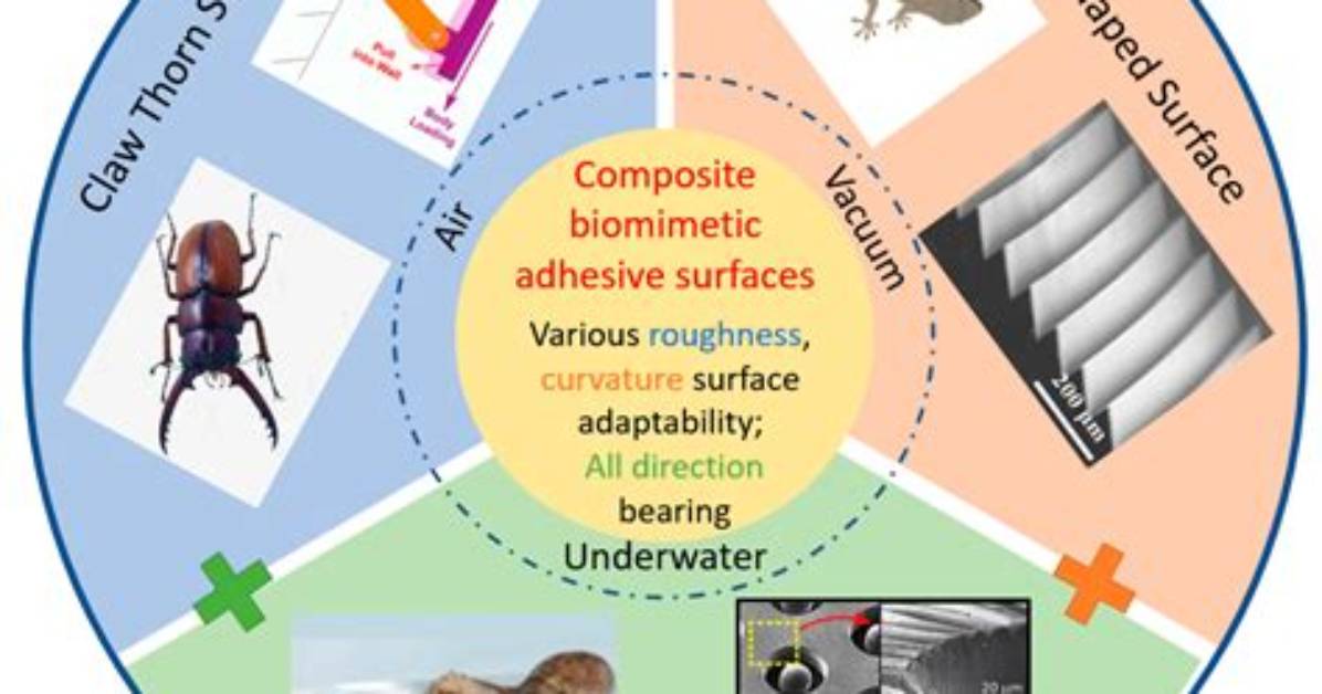 Biomimetic