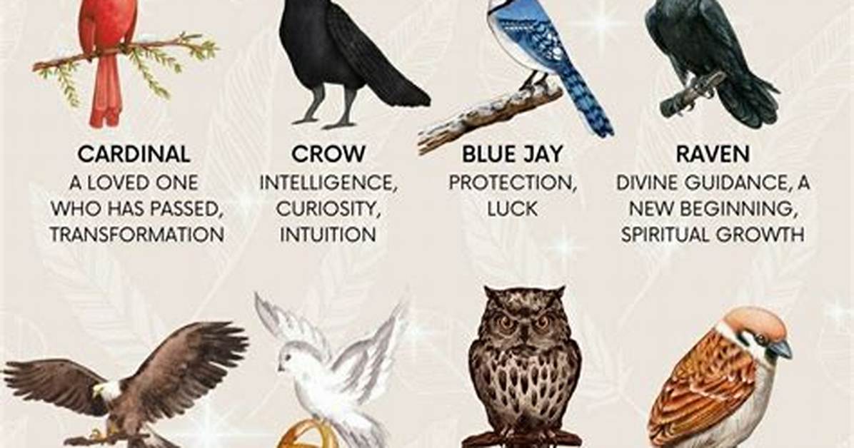 Birds and What They Represent