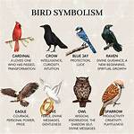 Birds and What They Represent