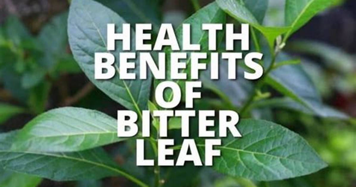 Bitter Leaf Benefits