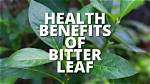 Bitter Leaf Benefits