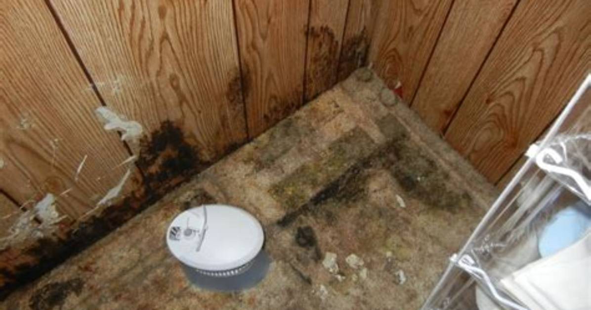 Black Mold in Mobile Homes Due to Water Damage