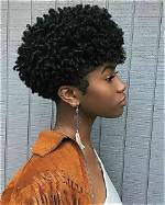 Black Natural Hair Styles Pictures