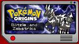 Blitzle's Origins: Based on a Zebra