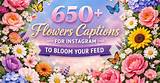 Bloom Captions for Instagram: Enhance Your Floral Posts