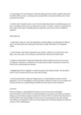 Boly4U: a Comprehensive Guide to Understanding the Future of Online Gaming