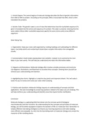 Boly4U: a Comprehensive Guide to Understanding the Future of Online Gaming