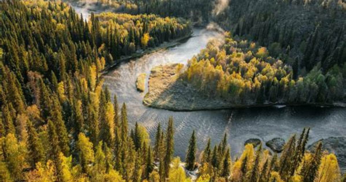 Boreal