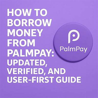 Borrowing Money with Palmpay: a Quick Guide - Simple Steps and Additional Details - Sarkariresult