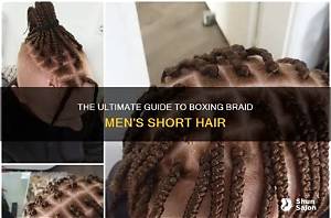 Box Braid Twist Men: the Ultimate Guide to Stylish and Versatile Hairstyles