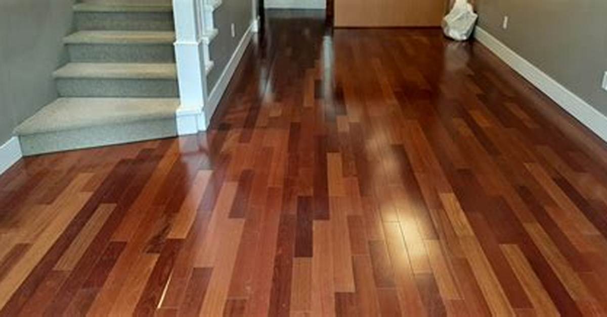 Brazilian Hardwood