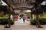 Brookside Gardens Colorado: a Hidden Gem for Nature Lovers
