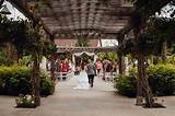 Brookside Gardens Colorado: a Hidden Gem for Nature Lovers