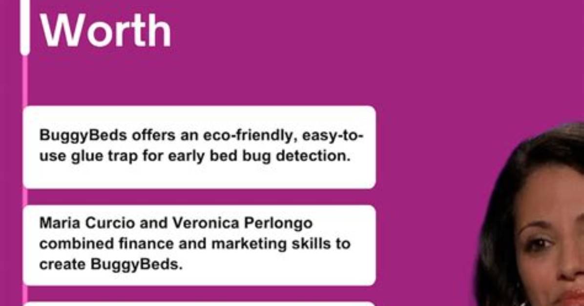 Buggybeds Net Worth 2024: a Comprehensive Guide to Their Financial Success