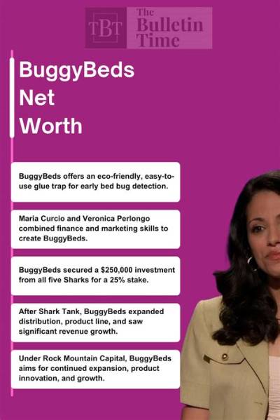Buggybeds Net Worth 2024: a Comprehensive Guide to Their Financial Success