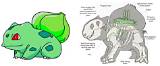 Bulbasaur's Origins: Based on a Dinosaur/Frog