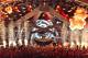 Calvin Harris: the King of Ibiza's Dance Floors
