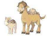 Camerupt's Origins: Based on a Camel