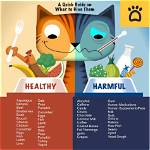 Can a Cats Eat Human Food?