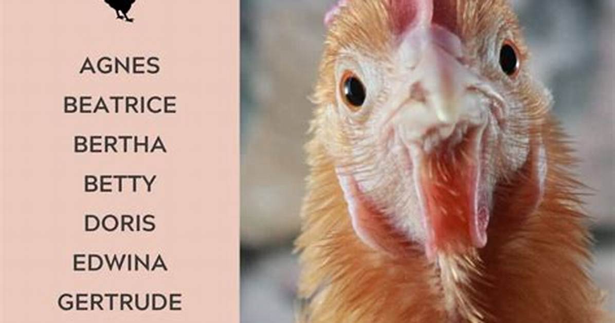 Can a Chicken Learn Its Name?