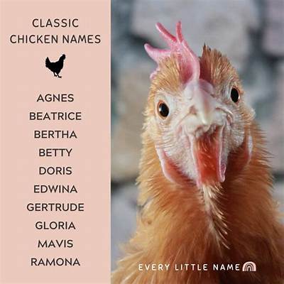 Can a Chicken Learn Its Name?