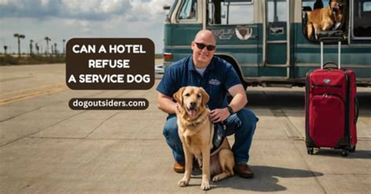 Can a Hotel Refuse a Service Dog Uk?