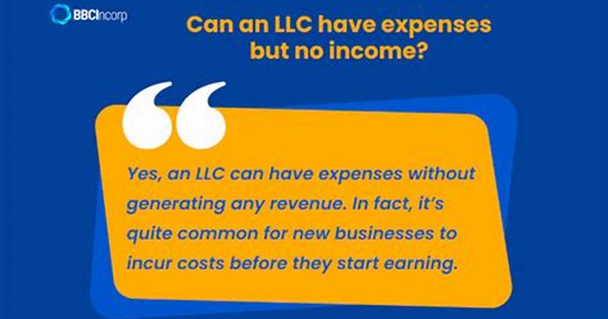 Can a Llc Have No Income for a Year?