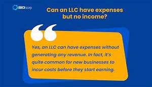 Can a Llc Have No Income for a Year?
