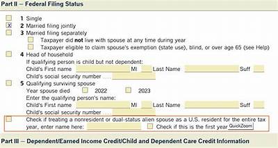 Can a Nonresident Spouse Be Treated as an Alien?