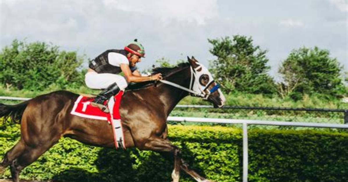 Can a Quarter Horse Run Faster Than a Thoroughbred?