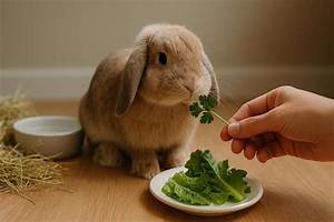 Can a Rabbit Cry?