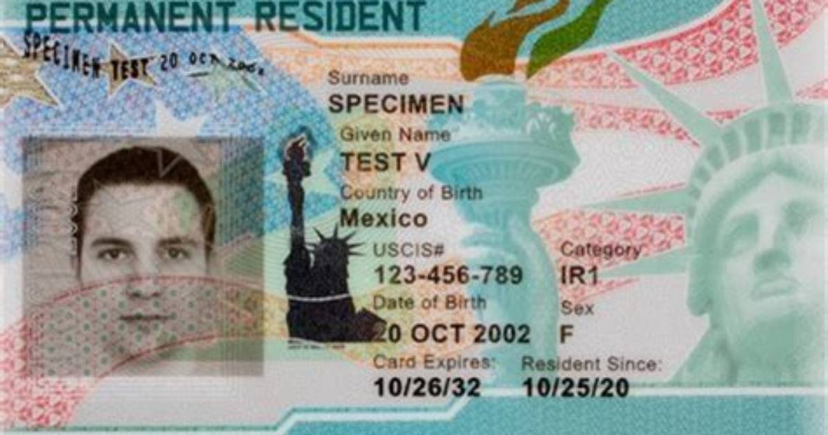 Can a Resident Alien Own an Llc?