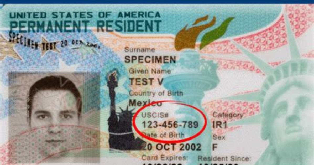 Can a Resident Alien Work in the Us?
