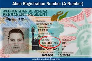 Can a Resident Alien Work in the Us?