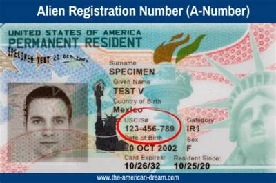 Can a Resident Alien Work in the Us?
