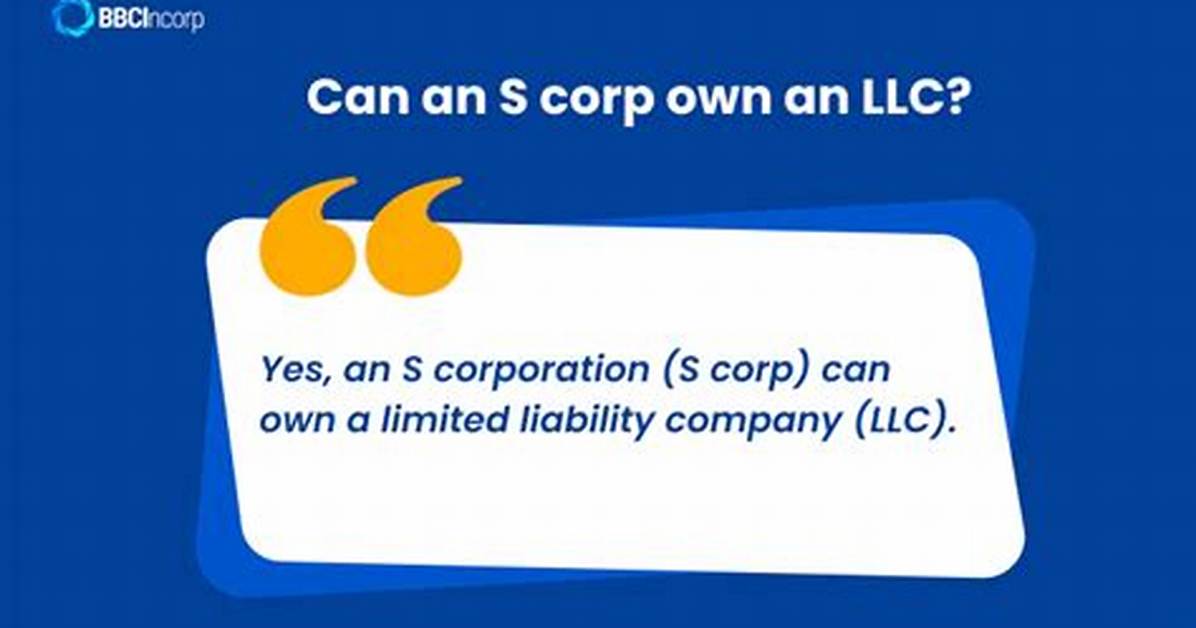 Can a S Corporation Own 100% of a Llc?