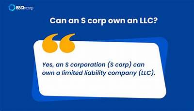 Can a S Corporation Own 100% of a Llc?