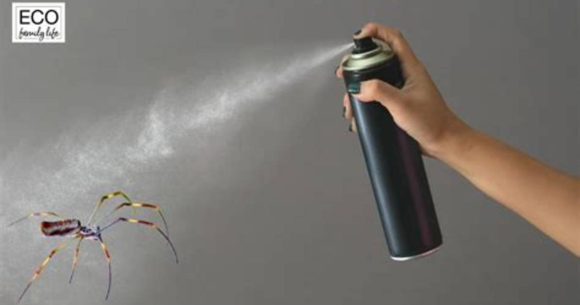 Can Air Spray Kill Spiders?