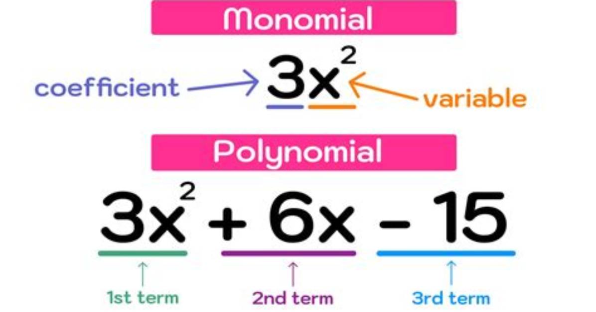 Can All Polynomials Be Factored?