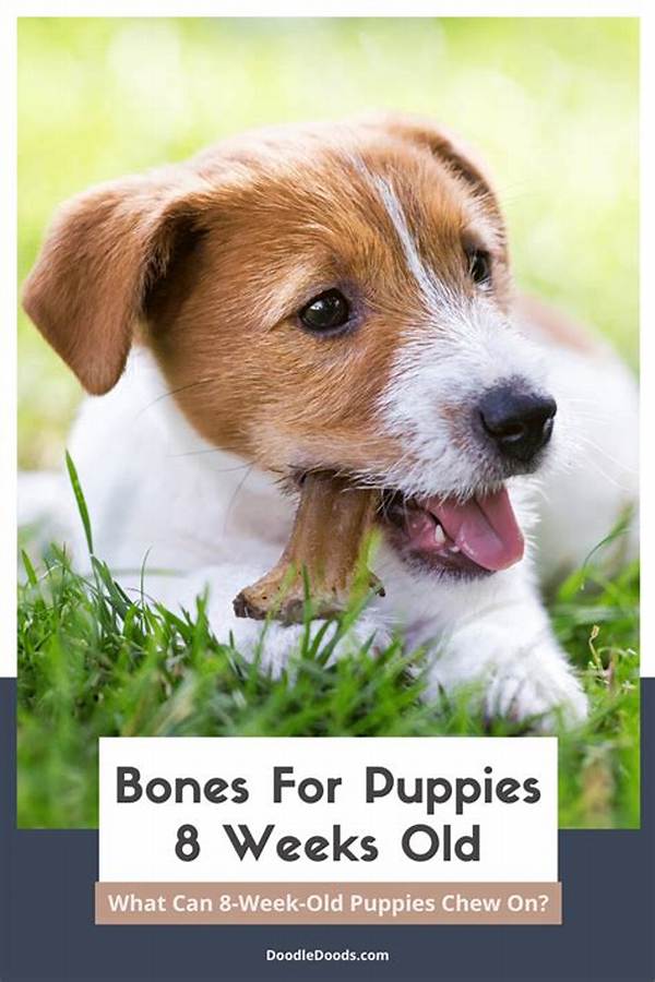 Can an 8 Week Old Puppy Be Potty Trained?