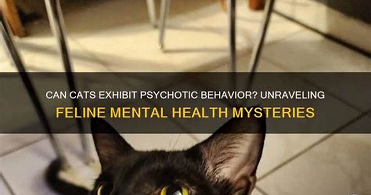 Can Animals Be Psychotic?