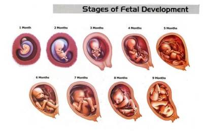 Can Baby Have Fits in Womb?