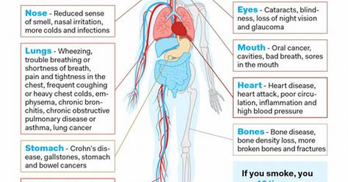 Can Bactrim Affect Your Heart?