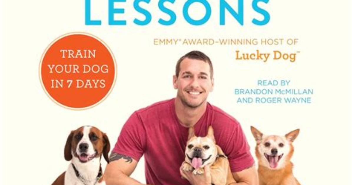 Can Brandon Mcmillan Train My Dog?